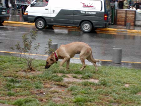 athens2005_006