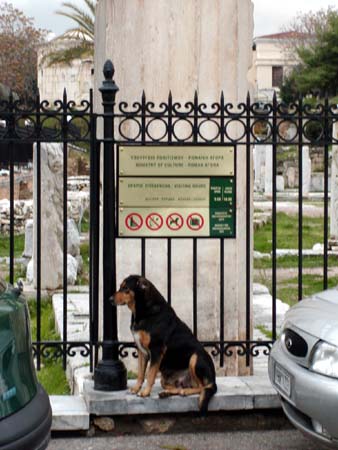 athens2005_037