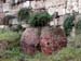 athens2005_052