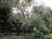athens2005_074