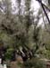 athens2005_109