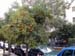 athens2005_220