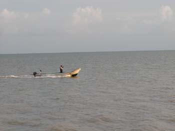 bze_0829902_004