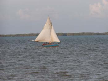 bze_0829902_006