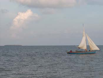 bze_0829902_009