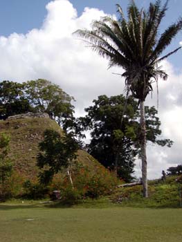 bze_0830902_027