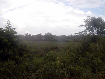 bze_0830902_037