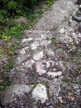 bze_0830902_047