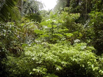 bze_0830902_051
