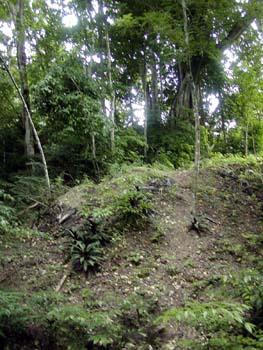 bze_0830902_072