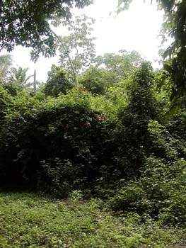 bze_0830902_073