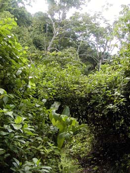 bze_083102_006