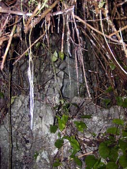 bze_083102_010