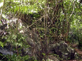 bze_083102_012