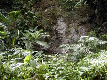 bze_083102_013