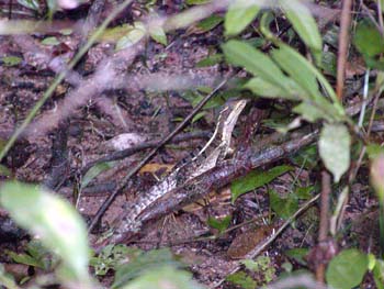 bze_083102_025