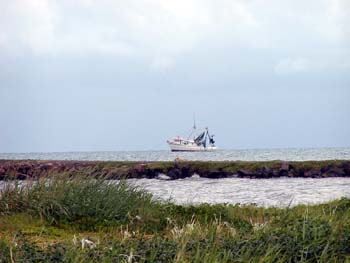 bze_083102_042