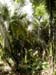 bze_0830902_067
