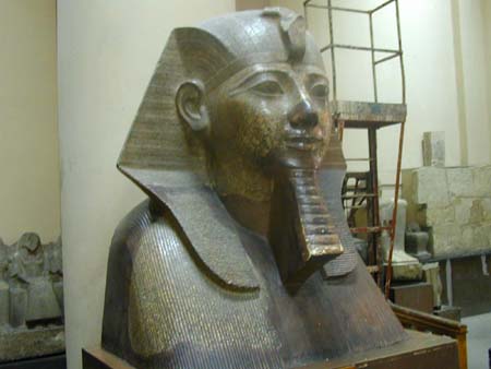 egypt_10110057