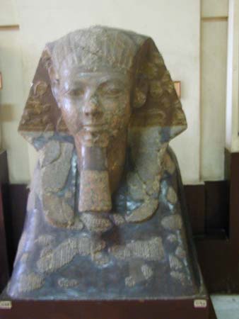 egypt_10110062
