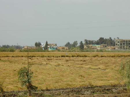 egypt_10130127
