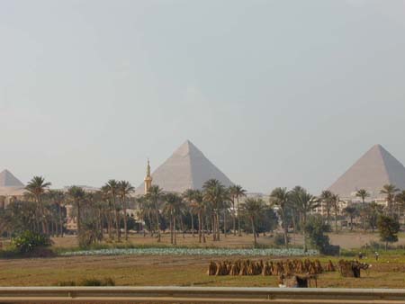 egypt_10150067