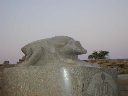 egypt_10160092