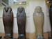 egypt_10110031