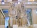 egypt_10110073