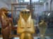 egypt_10110078