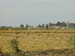 egypt_10130127