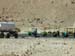 egypt_10170130