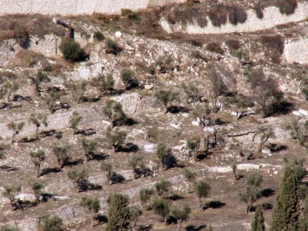 mideast2006-010-1