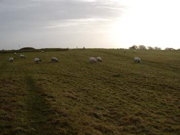 ireland_113002_053