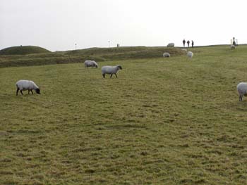 ireland_113002_055