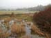 ireland_112902_010