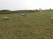 ireland_113002_055