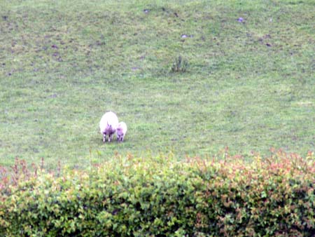 irelanduk2006_022