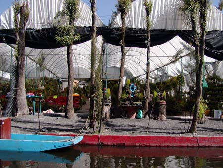 mexico_2004_013