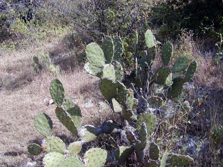 mexico_2004_064