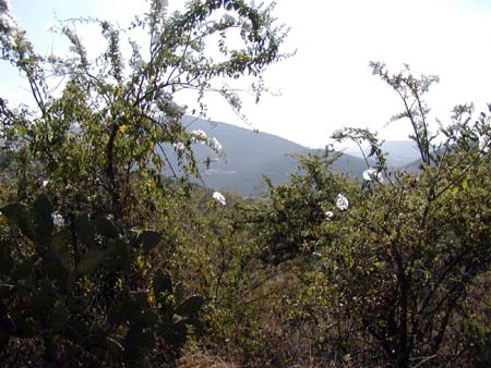 mexico_2004_066