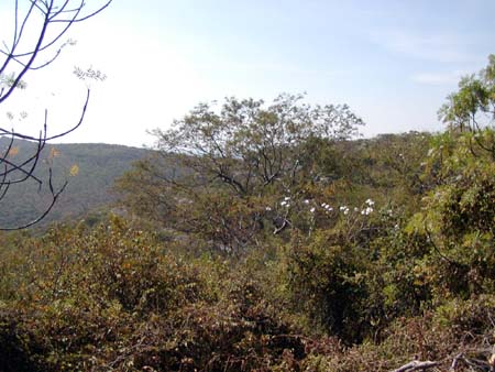 mexico_2004_067