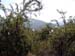 mexico_2004_066