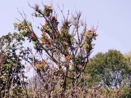 mexico2006_048