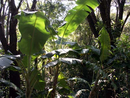 mexico2006_049