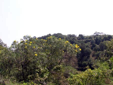 mexico2006_092
