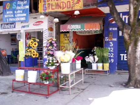 mexico2006_100