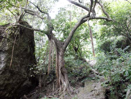 mexico2006_111