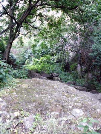 mexico2006_113