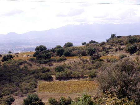 mexico2006_178